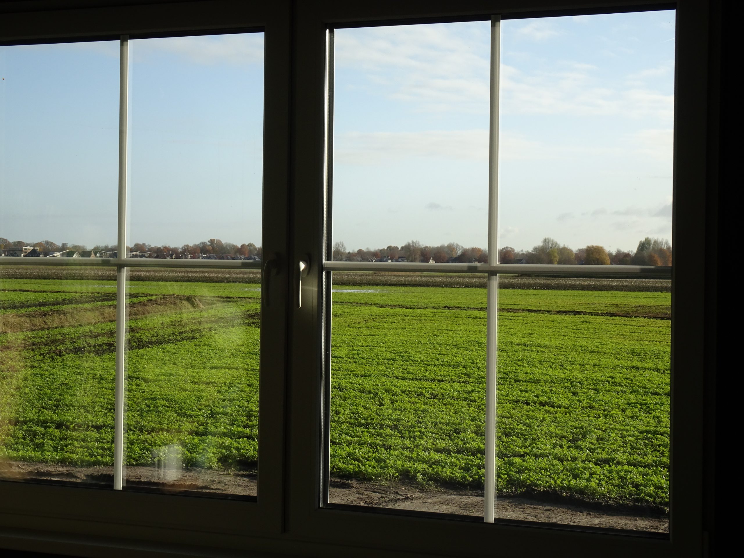 Huisdieren Crematorium Naarden - Vogels